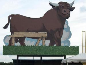 Durham_Bull_flip_side